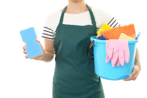 Professional window cleaning for homes in Wimbledon