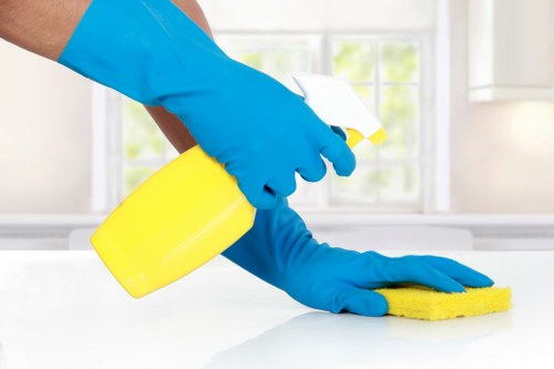 Scheduled regular cleaning visit in a Wimbledon property