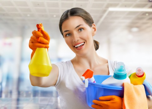 Legal terms and governing law for cleaning services