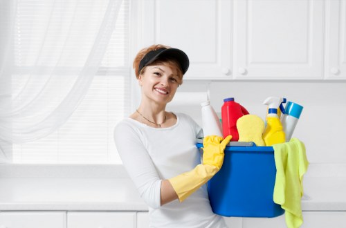 Professional pet stain odour removal service in a Wimbledon home