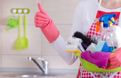 Upholstery cleaning equipment used in a Wimbledon residence