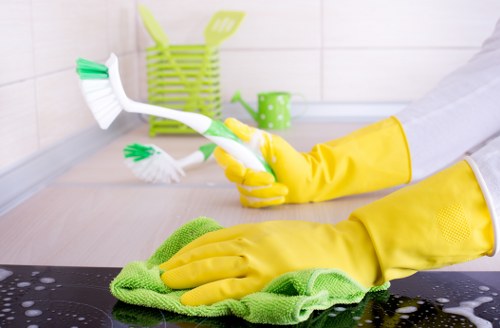Bathroom deep cleaning during a Wimbledon move in clean
