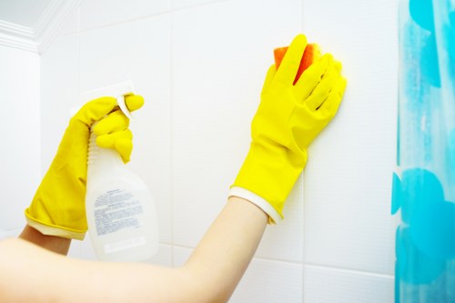 Local steam carpet cleaning service for Wimbledon homes