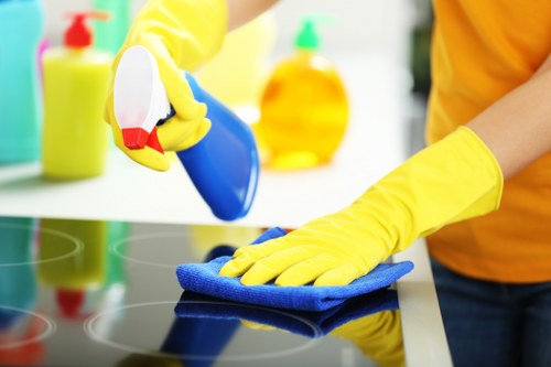Trusted Wimbledon cleaning service delivering a fresh and comfortable home