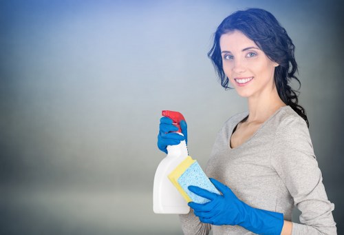 Regular window cleaning service for a Wimbledon home