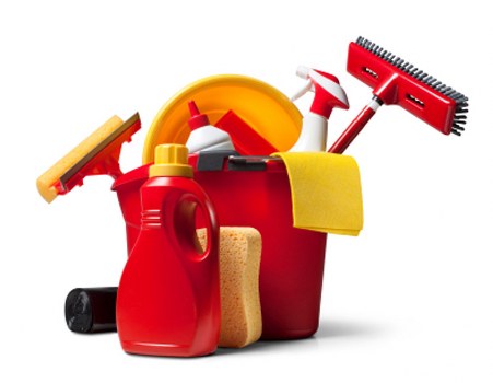 Odour removal for pet accidents in a Wimbledon apartment