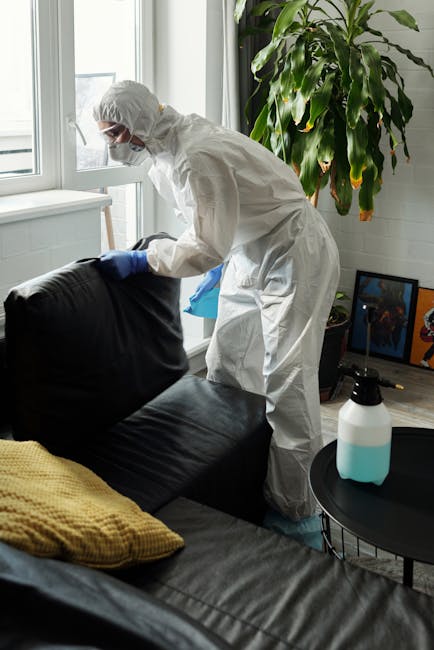 A professional cleaner wearing a white protective suit, gloves, and a face mask is using a spray bottle to sanitise or deep clean a black leather sofa in a well-lit living room. The room features larg